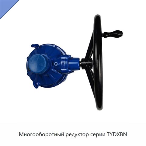 Многооборотный редуктор серии TYDXBN