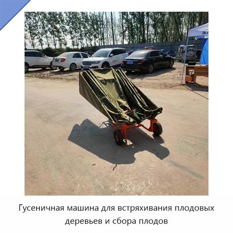 Гусеничная машина для встряхивания плодовых деревьев и сбора плодов