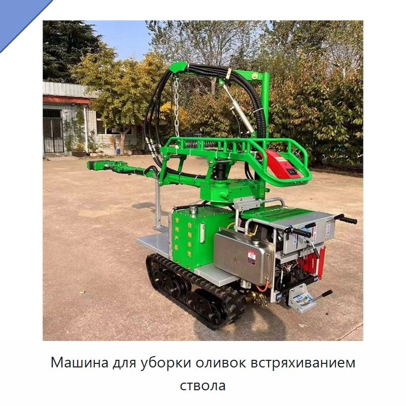 Машина для уборки оливок встряхиванием ствола — Специальная строительная техника