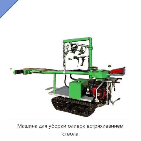 Машина для уборки оливок встряхиванием ствола