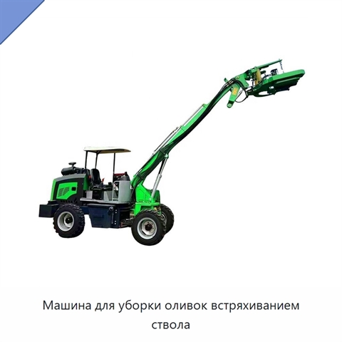 Машина для уборки оливок встряхиванием ствола