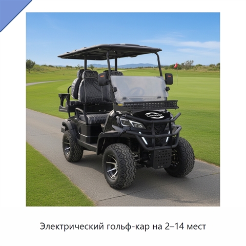 Электрический гольф-кар на 2–14 мест