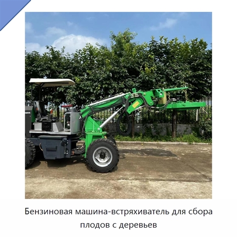 Бензиновая машина-встряхиватель для сбора плодов с деревьев