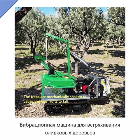 Вибрационная машина для встряхивания оливковых деревьев