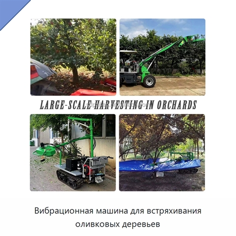 Вибрационная машина для встряхивания оливковых деревьев