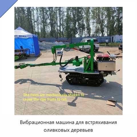 Вибрационная машина для встряхивания оливковых деревьев