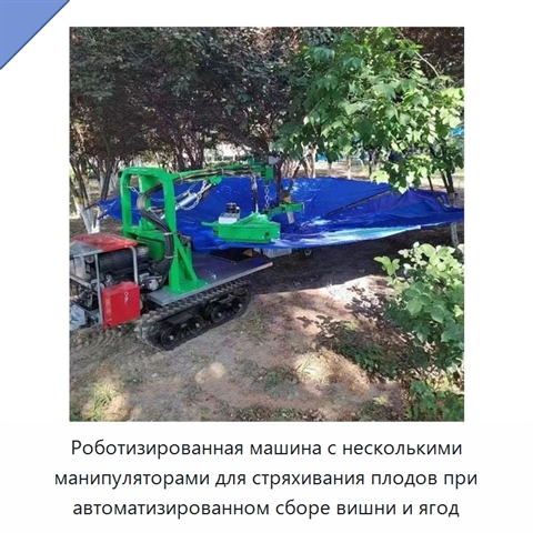 Роботизированная машина с несколькими манипуляторами для стряхивания плодов при автоматизированном сборе вишни и ягод