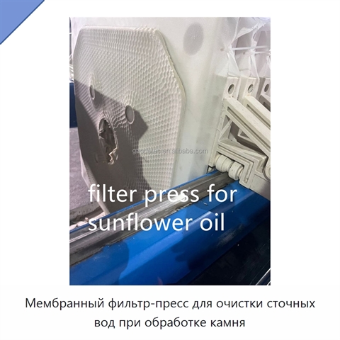 Мембранный фильтр-пресс для очистки сточных вод при обработке камня