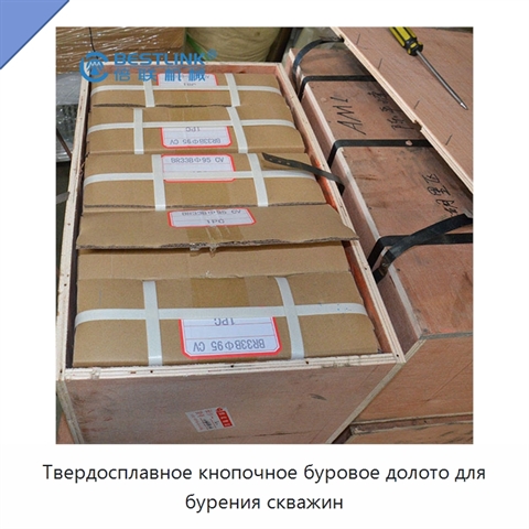 Твердосплавное кнопочное буровое долото для бурения скважин