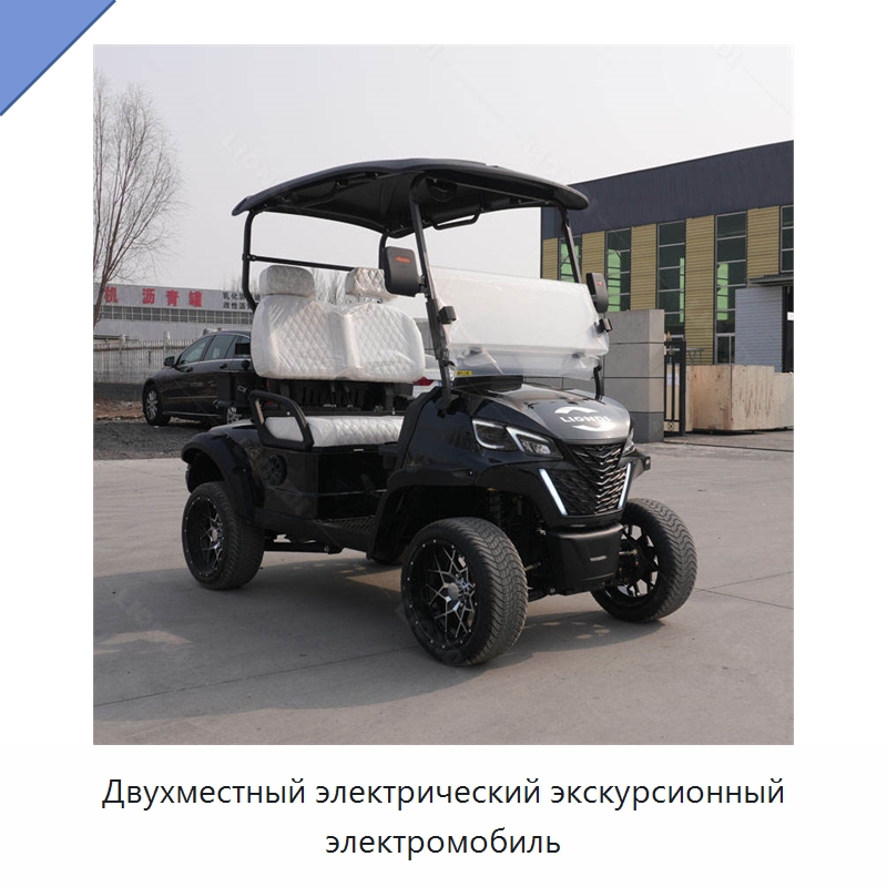 Двухместный электрический экскурсионный электромобиль — Специальные конвейеры