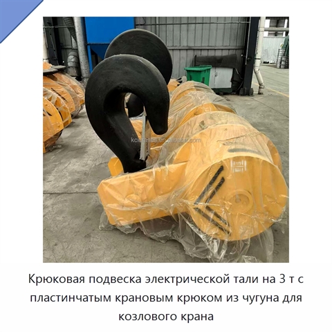 Крюковая подвеска электрической тали на 3 т с пластинчатым крановым крюком из чугуна для козлового крана