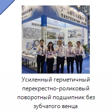 Усиленный герметичный перекрестно-роликовый поворотный подшипник без зубчатого венца