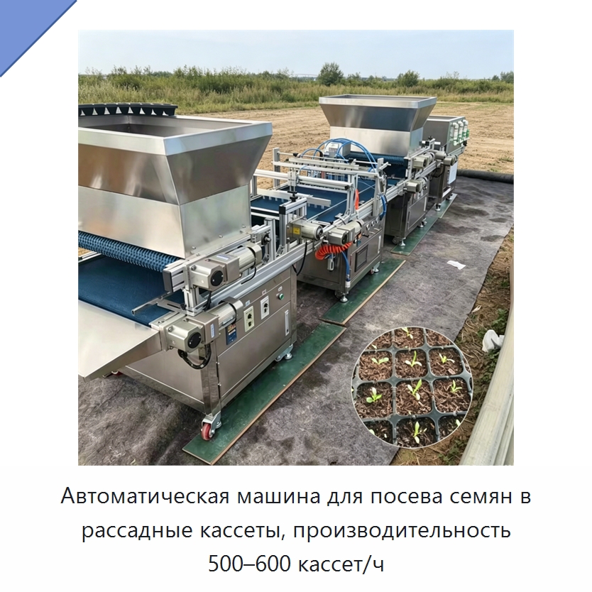Автоматическая машина для посева семян в рассадные кассеты, производительность 500–600 кассет/ч — Сельскохозяйственные машины