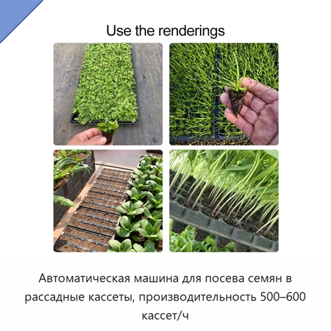 Автоматическая машина для посева семян в рассадные кассеты, производительность 500–600 кассет/ч
