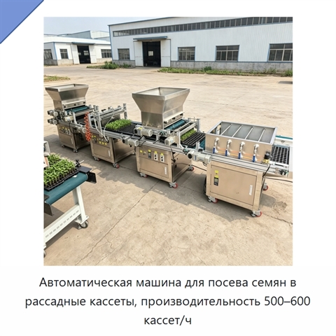 Автоматическая машина для посева семян в рассадные кассеты, производительность 500–600 кассет/ч