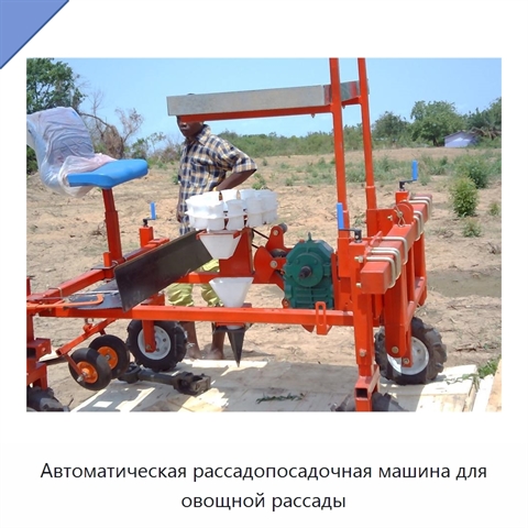 Автоматическая рассадопосадочная машина для овощной рассады