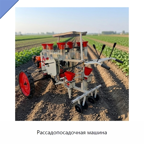 Рассадопосадочная машина