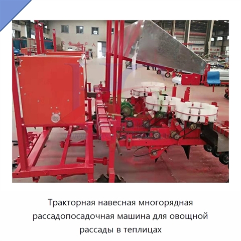 Тракторная навесная многорядная рассадопосадочная машина для овощной рассады в теплицах