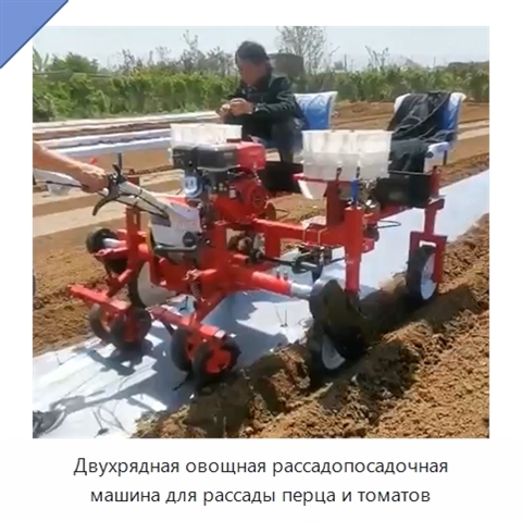 Двухрядная овощная рассадопосадочная машина для рассады перца и томатов