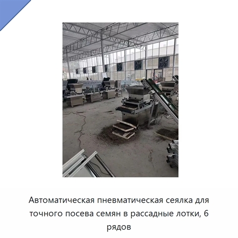 Автоматическая пневматическая сеялка для точного посева семян в рассадные лотки, 6 рядов