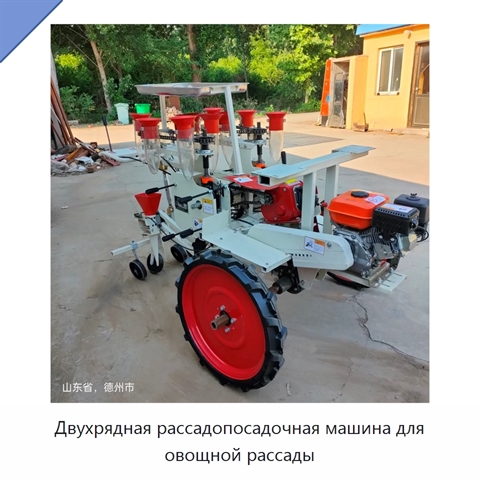 Двухрядная рассадопосадочная машина для овощной рассады
