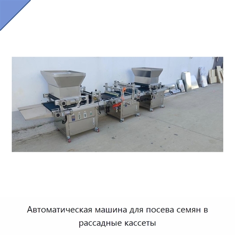 Автоматическая машина для посева семян в рассадные кассеты