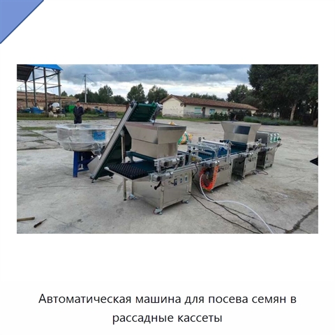 Автоматическая машина для посева семян в рассадные кассеты