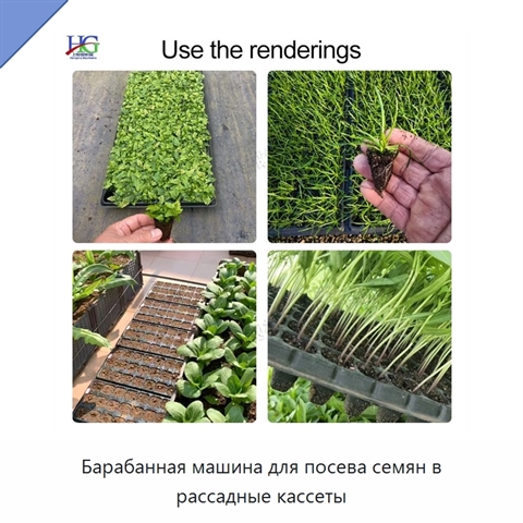 Барабанная машина для посева семян в рассадные кассеты