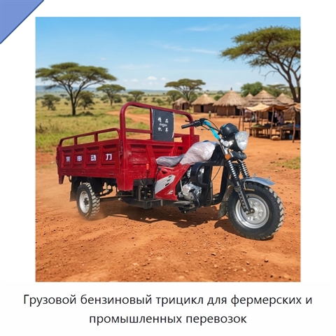 Грузовой бензиновый трицикл для фермерских и промышленных перевозок
