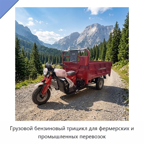 Грузовой бензиновый трицикл для фермерских и промышленных перевозок