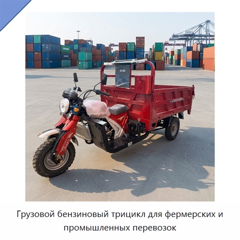 Грузовой бензиновый трицикл для фермерских и промышленных перевозок