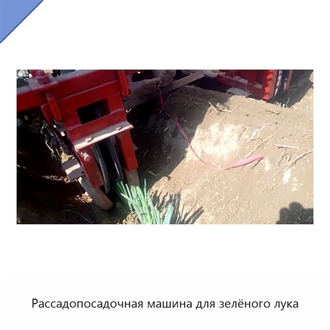 Рассадопосадочная машина для зелёного лука