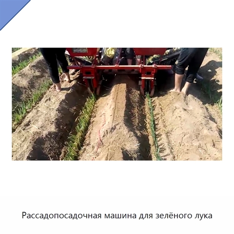 Рассадопосадочная машина для зелёного лука