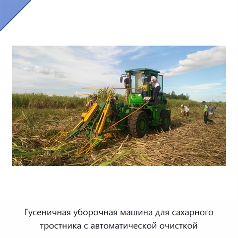 Гусеничная уборочная машина для сахарного тростника с автоматической очисткой