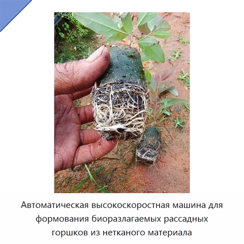 Автоматическая высокоскоростная машина для формования биоразлагаемых рассадных горшков из нетканого материала