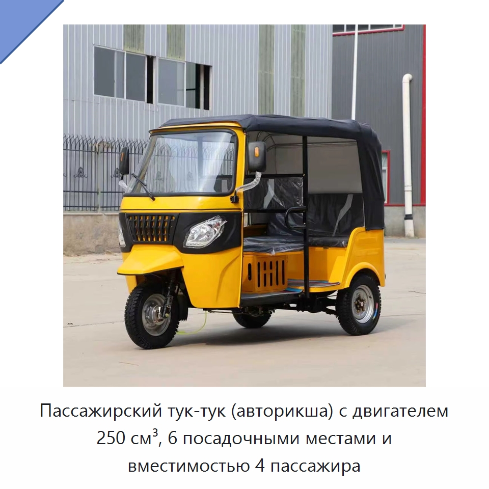 Пассажирский тук-тук (авторикша) с двигателем 250 см³, 6 посадочными местами и вместимостью 4 пассажира — Специальные машины и промышленное оборудование