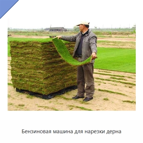 Бензиновая машина для нарезки дерна