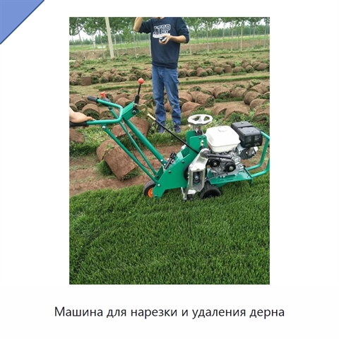 Машина для нарезки и удаления дерна