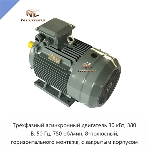 Трёхфазный асинхронный двигатель 30 кВт, 380 В, 50 Гц, 750 об/мин, 8-полюсный, горизонтального монтажа, с закрытым корпусом