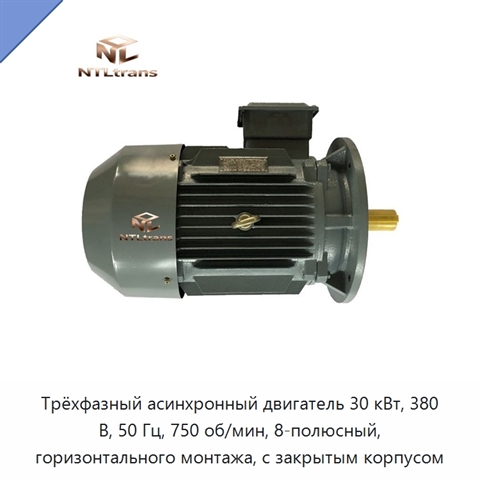 Трёхфазный асинхронный двигатель 30 кВт, 380 В, 50 Гц, 750 об/мин, 8-полюсный, горизонтального монтажа, с закрытым корпусом