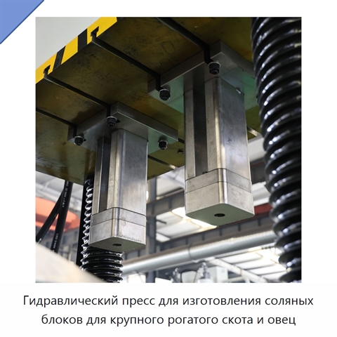 Гидравлический пресс для изготовления соляных блоков для крупного рогатого скота и овец