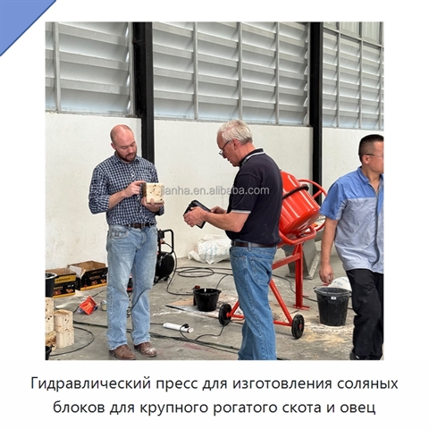 Гидравлический пресс для изготовления соляных блоков для крупного рогатого скота и овец