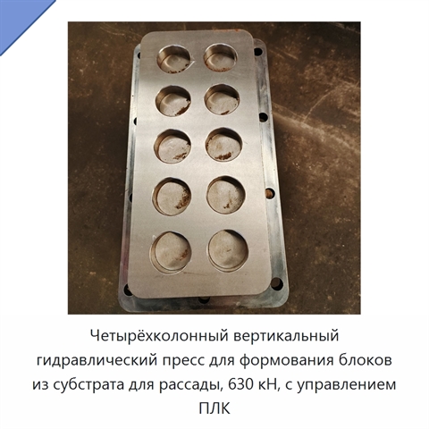 Четырёхколонный вертикальный гидравлический пресс для формования блоков из субстрата для рассады, 630 кН, с управлением ПЛК