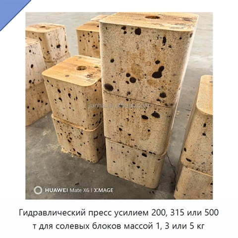 Гидравлический пресс усилием 200, 315 или 500 т для солевых блоков массой 1, 3 или 5 кг