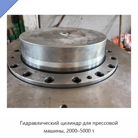 Гидравлический цилиндр для прессовой машины, 2000–5000 т