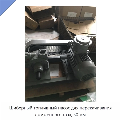 Шиберный топливный насос для перекачивания сжиженного газа, 50 мм