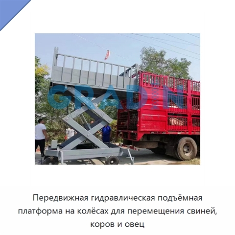 Передвижная гидравлическая подъёмная платформа на колёсах для перемещения свиней, коров и овец