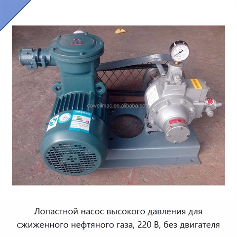 Лопастной насос высокого давления для сжиженного нефтяного газа, 220 В, без двигателя