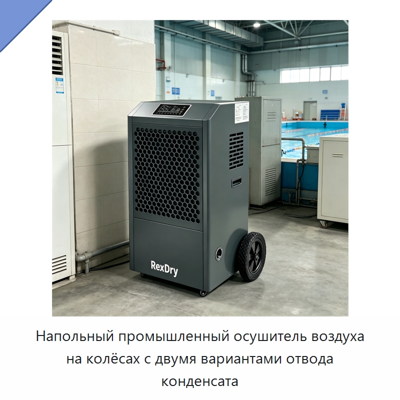 Напольный промышленный осушитель воздуха на колёсах с двумя вариантами отвода конденсата