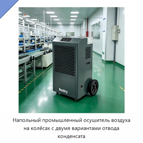 Напольный промышленный осушитель воздуха на колёсах с двумя вариантами отвода конденсата